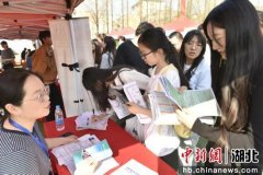 襄阳职业手艺学院结业生成“喷鼻饽饽”